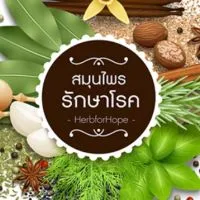 สมุนไพรรักษาโรค
