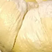 ทุเรียนหลังสวน สวนปูนา