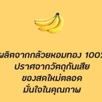 HomHom Fruit99