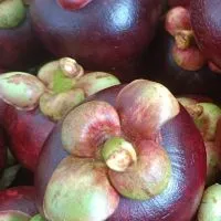 ผลไม้ อาหาร ของดีจันทบุรี