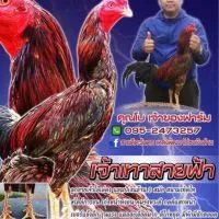 สายตีตะวันตก ฟาร์ม