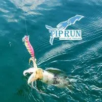 ซื้อ-ขาย จัดทริปตกหมึก Tip Run Eging Club Thailand