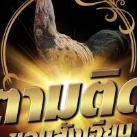 ตามติดขอบสังเวียนvvip