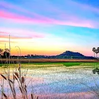 🧿🧿ห้อง"ชุมทางบันเทิง"หนัง,เพลง,ข่าวสาร,คลิป,ตลก,ชีวิตสัตว์ฯ🧿🧿