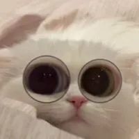 𝘾𝙤𝙙𝙚𝘼𝙢 𝙗𝙮 𝙣𝙭𝙚𝙮𝙣𝙖²