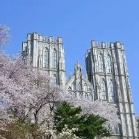 Gift University[โรลศิลปินเกาหลี(ช่วงมหาลัย)]