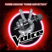 The voice P.A.