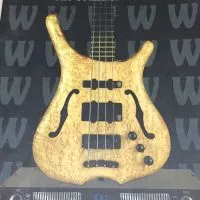 Bass Player Thailand