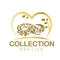 collection reptile