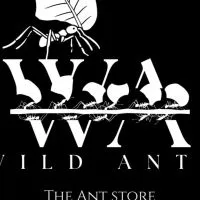 WildAnts Club