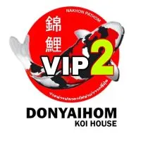 Donyaihom Koi VIP2🎏Sale&Auction