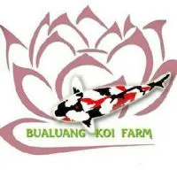 Special....Bualuang Koi Farm ห้อง 2