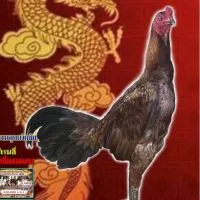 น้าต้นฟาร์ม FC