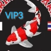 SIRIN​ KOI​ FARM​ VIP​3🇯🇵