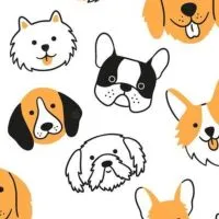 Pet Friendly Club