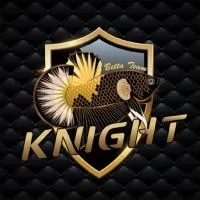 พูดคุยสไตล์ Knight Betta