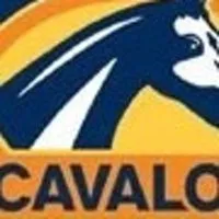 CAVALOR by Pamornchai