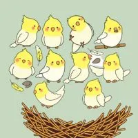 Birb Family