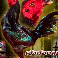 กฤตภัทร ฟาร์ม