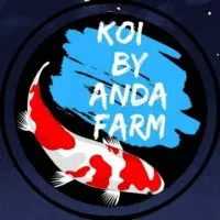 ANDA KOI💛 AUCTION & OPEN SALE