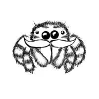 กลุ่ม แมงมุมกระโดด Cute Cute 🕷️🕸️