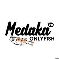 Medaka Onlyfish