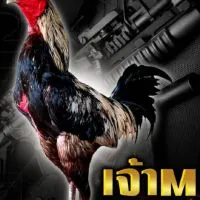 ซุ้ม ศ.ทีเด็ด สังกัด ช.พิษณุฟาร์ม🐓