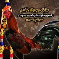 ซุ้ม หนุ่มสายใต้/ซุ้ม ส.แสงดาว