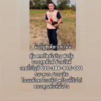 พม่าแข้งเพชร เน้นตีเชิง