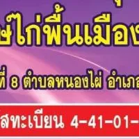 รัฐวิสาหกิจชุมชนบ้านหนองไผ่