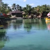 Market of Stingray