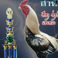 โบ้ นครทรายฟาร์ม