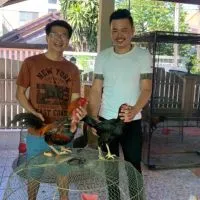 ส.สามเซียน