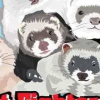 เฟอเรทก่อหวอด - Ferret Fighters TH