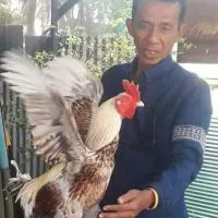 ต้นสายเจ้าโด้(พระจันทร์เสี้ยว)