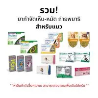 🐱 NexGard - Advocate - Revolution - Broadline [แท้