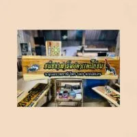 ไก่หนุ่มดาวรุ่งVip