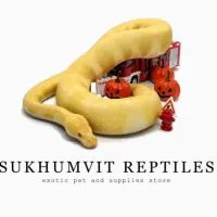 Sukhumvit Reptiles