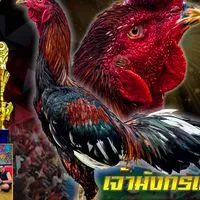 ซุ้มยิ่งเจริญ สวนอากงฟาร์ม สว่างแดนดิน