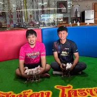 ว.วิจิตร แหล่งเพาะพันธุ์และพัฒนาไก่ชน