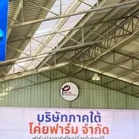 ฟาร์มปลาคาร์ฟหาดใหญ่