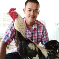 ซุ้ม ส.สายทองเพชรบุรี-ไก่ชนVIP