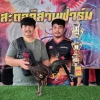 ซุ้มป.ประสพโชคพม่าตอคม