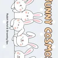 🐰สมาคมผู้ปกครองกาตุ๋ย🐰 ~ bunny cosmos