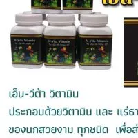 ✅วิตตามินอาหารเสริมนก"N Vita Vitamin"
