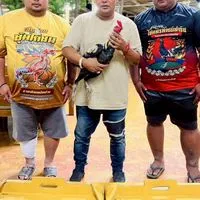 โชคพีรพัฒน์ ฟาร์ม