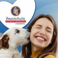 ประกันภัยสัตว์เลี้ยงสุนัขหมาแมว