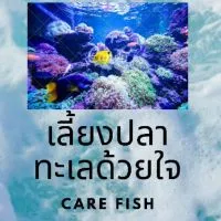 เลี้ยงปลาทะเลยากจิงไหม