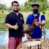 ซุ้มไก่ชน​ ป.จักพรรดิ์(แหล่งรวมไก่พม่าแข้งลึก)​