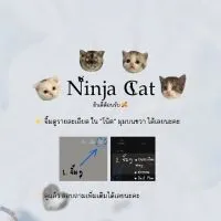 Ninja Cat มีใบ scfc